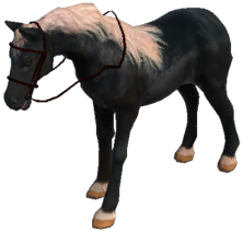Icon of Dark Horse