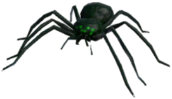 Icon of Venomous Spider