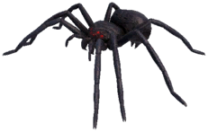 Icon of Black Spider