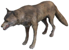 Icon of Grey Forest Wolf